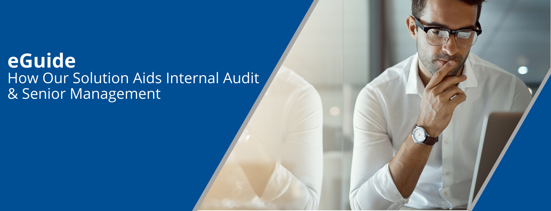 How Our Solution Aids Internal Audit & Senior Management